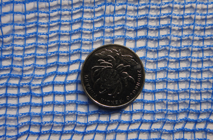 Квадратная сетка 01